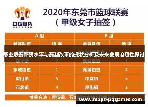 职业联赛薪资水平与赛制改革的现状分析及未来发展迫切性探讨